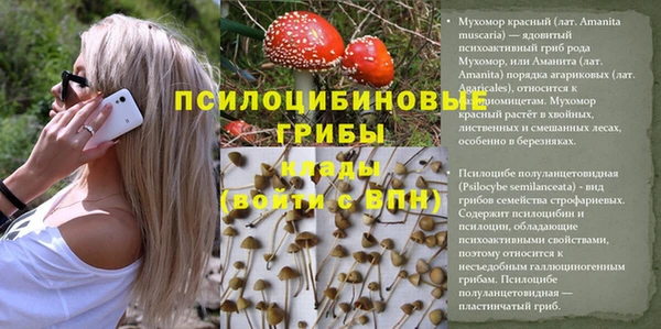 мет Алексеевка