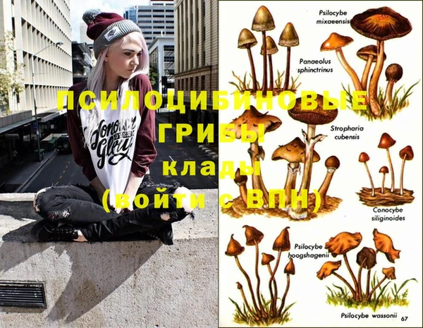 MDMA Алзамай