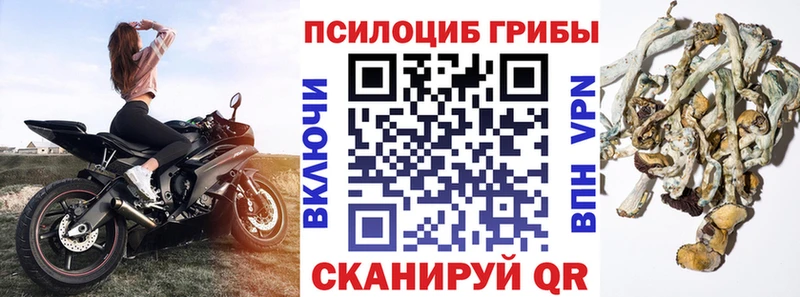 купить   Липки  Галлюциногенные грибы мухоморы 